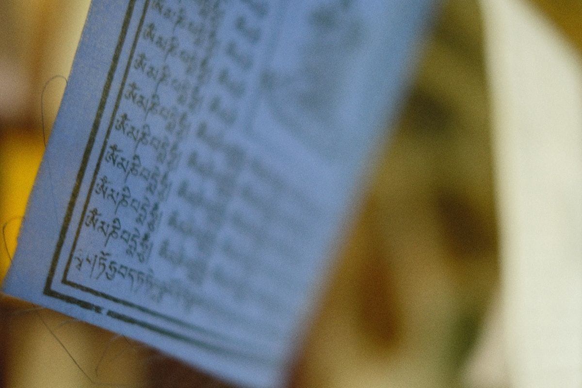 a close-up of a book