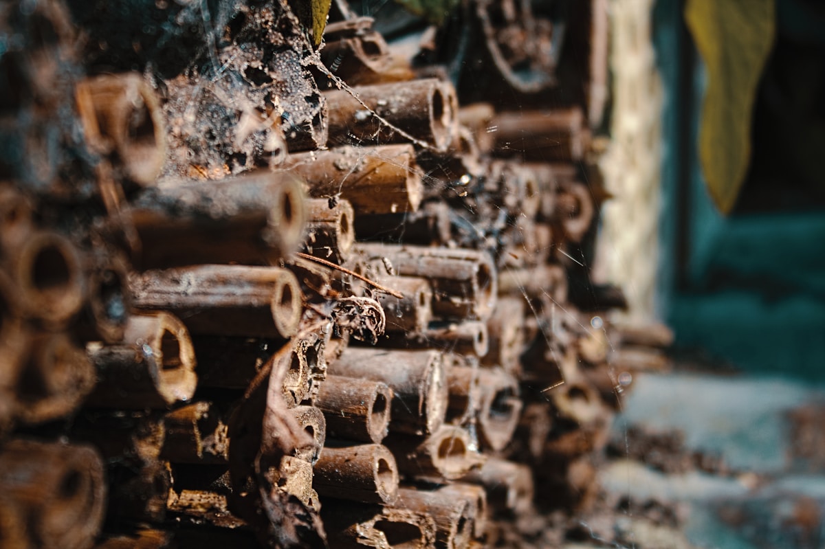 a close up of a bunch of rusted pipes
