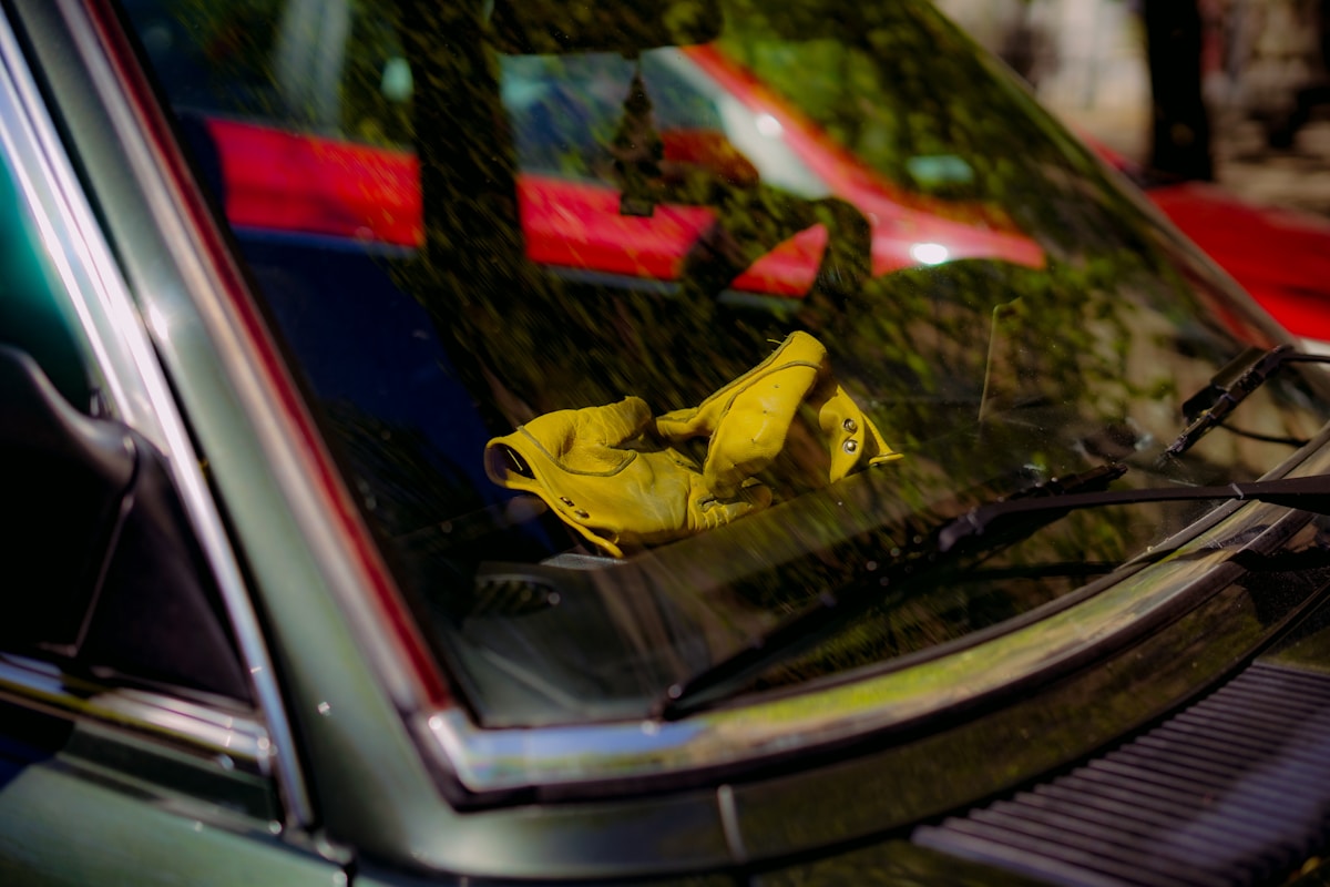 Grenouille jaune reposant sur le pare-brise d'une voiture rouge et verte.