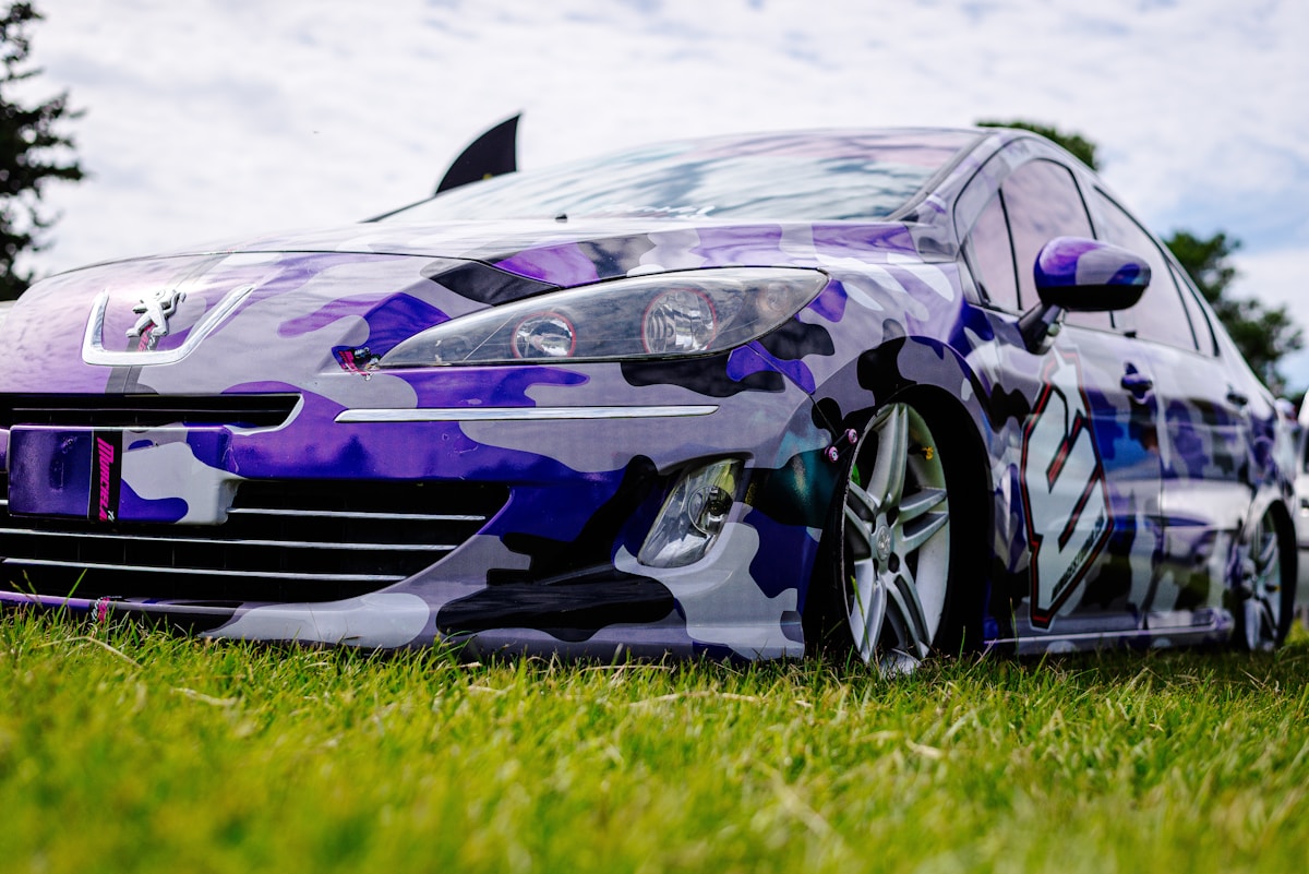 Voiture de sport camouflée aux couleurs violettes et noires sur l'herbe.