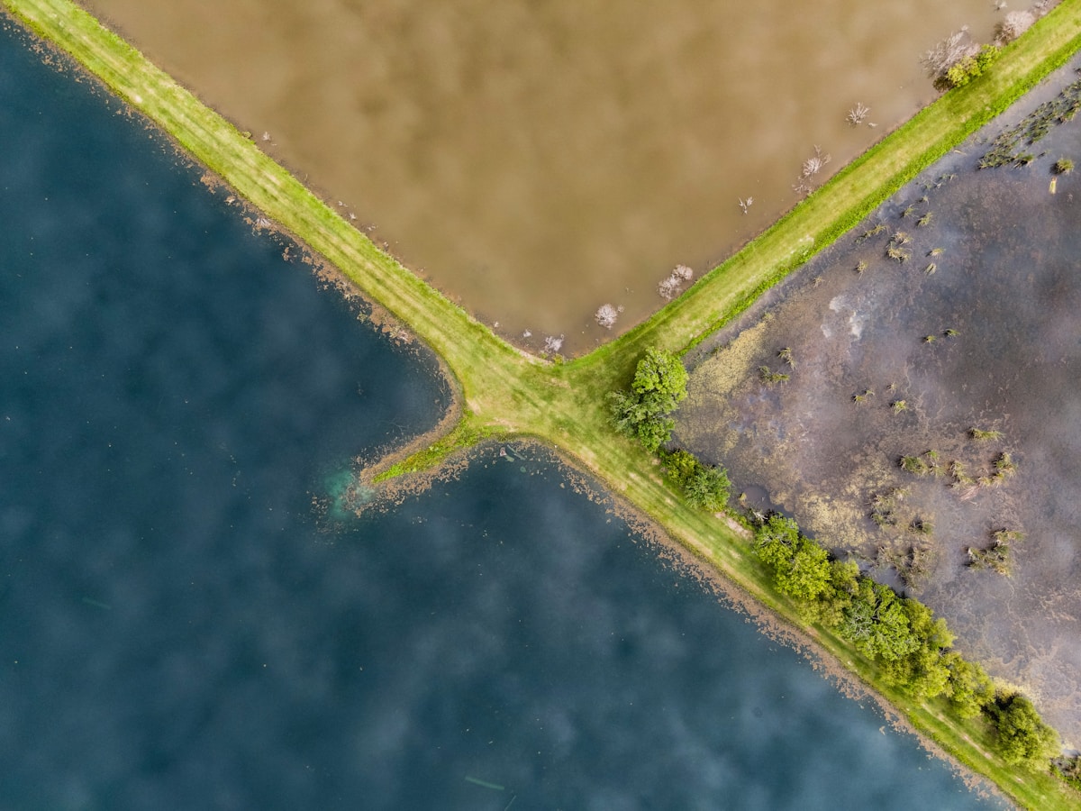Paysage aérien de croisement de sentiers bordés de végétation près d'un plan d'eau.