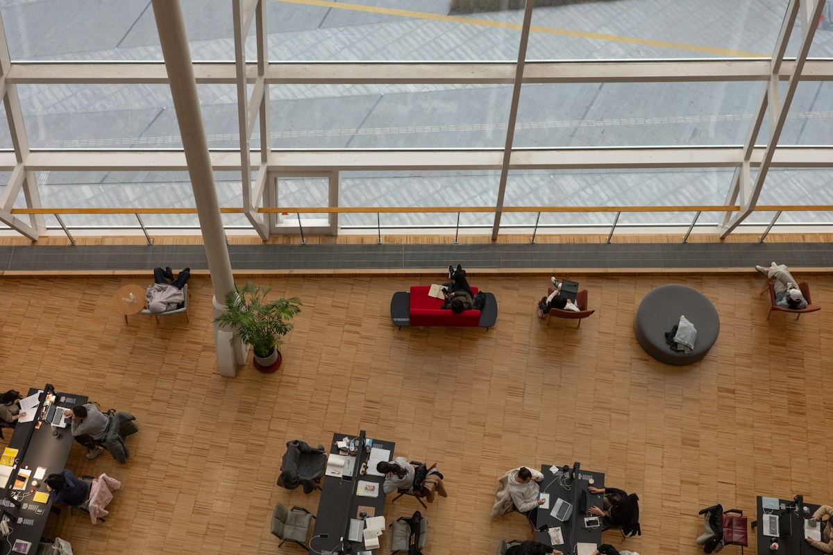 Illustration article